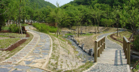 금산 남이자연휴양림, 내일 산림문화타운 개장