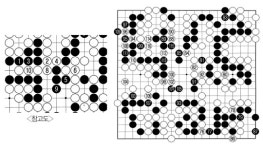 제21회 후지쓰배 세계바둑선수권 16강전 제12보(176-216)