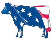 美쇠고기 판매 재개…다음주 대전에도 풀릴듯