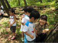 단양국유림관리소, 숲속의 동화나라 체험
