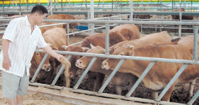 바닥기는 한우값…고급육으로 우뚝