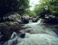 충청 산하를 지키자 - 보령의 계곡(화장골·심연동·명대)