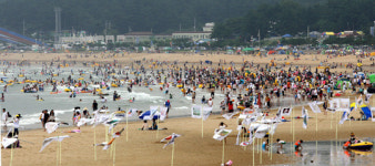 태안 해수욕장, 바가지요금 근절·편의시설 확충
