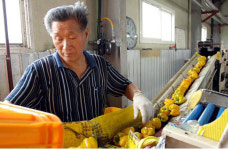 진천 파프리카 우수특산품 대상