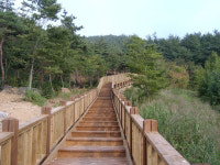 청정 청양 더 푸르게 푸르게