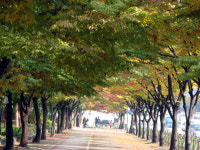 이제는 동(洞)시대 - (50) 서구 갈마2동