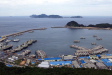 태안 신진도항 신흥 관광명소 부상