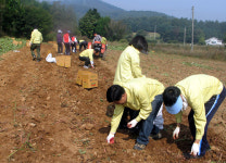서산시 공무원들, 주말농장·가구수리·도배등 다양한 활동 눈길