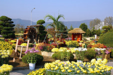 대전교도소, 국화 가꾸며 수용자 마음도 ‘활짝’