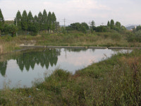 충청 산하를 지키자 - 충남 계룡시 두계천