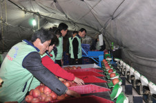 단양우체국, 농촌일손돕기