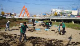 충주 교현천에 ‘울긋불긋’ 꽃길