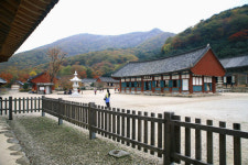 전북 고창 선운산 초겨울 정취 속으로
