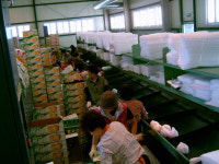 천안, 농특산물 수출 1억弗시대