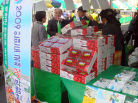 우수농산물 팔고·안면도 꽃博 홍보하고