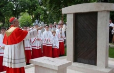 HUNGARY DISPLACED GERMANS