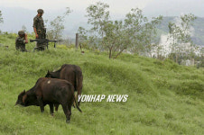 BRAZIL MERCOSUR SUMMIT
