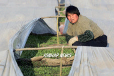 CHINA FARMERS AGRICULTURE