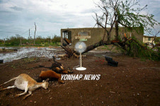 JAMAICA HURRICANE