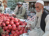 AFGHANISTAN POMEGRANATES