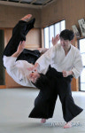 JAPAN AIKIDO