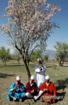 INDIA KASHMIR GARDEN
