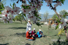 INDIA KASHMIR GARDEN