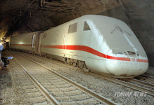 GERMANY TRAIN SHEEP ICE ACCIDENT