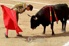 ECUADOR BULLFIGHTING