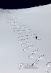 SWITZERLAND WEATHER SKIING