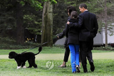 USA WHITE HOUSE DOG BO