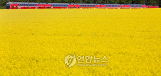 GERMANY AGRICULTURE RAPE