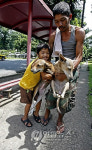 PHILIPPINES PET DOGS