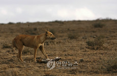 KENYA DROUGHT