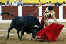 스페인 투우