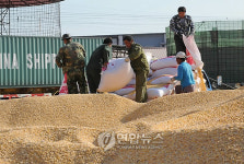 CHINA CORN HARVEST