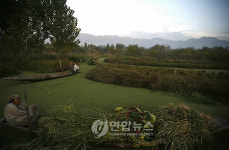 INDIA KASHMIR DAL LAKE