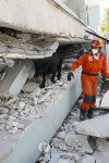 HAITI EARTHQUAKE