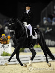 USA WORLD EQUESTRIAN GAMES