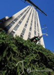 USA ROCKEFELLER CHRISTMAS TREE