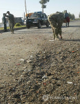 AFGHANISTAN BOMB BLAST