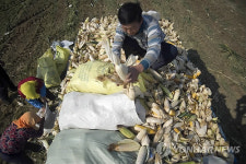 CHINA AGRICULTURE AUTUMN HARVEST