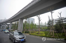 CHINA QINGDAO CONTROVERSIAL TREE PLANTING PROJECT