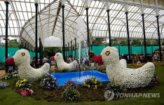 INDIA FLOWER SHOW