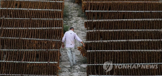 MIDEAST PALESTINIANS AGRICULTURE