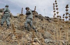 AFGHANISTAN CONFLICTS SECURITY