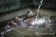 BELGIUM ANIMALS ZOO