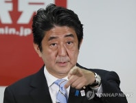 JAPAN ELECTIONS