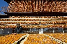 JAPAN FOOD WORLD HERITAGE