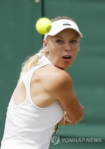 BRITAIN TENNIS WIMBLEDON 2014 GRAND SLAM